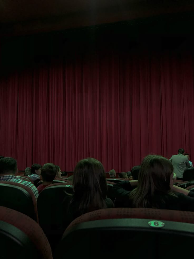 people sitting in front of a red curtain watching something on the screen with their hands