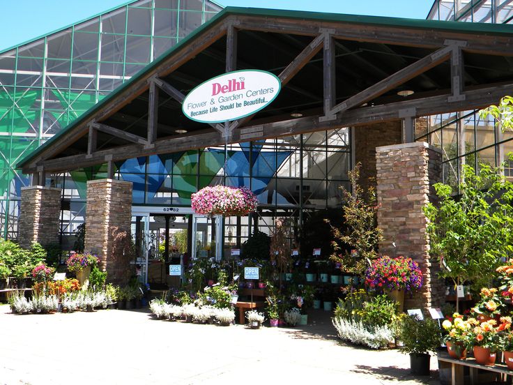 the entrance to delain's garden and flower shop with lots of potted plants