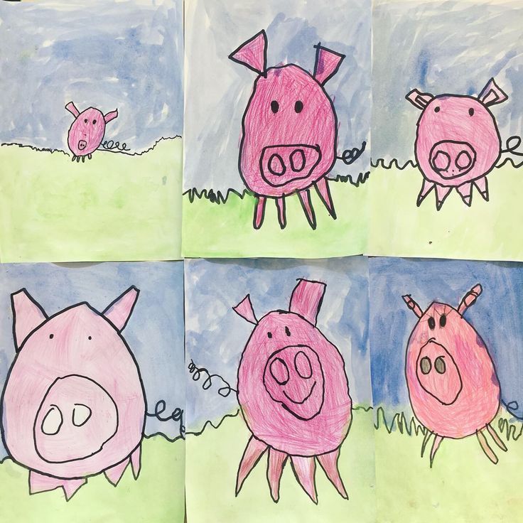 four drawings of pigs in different stages of development