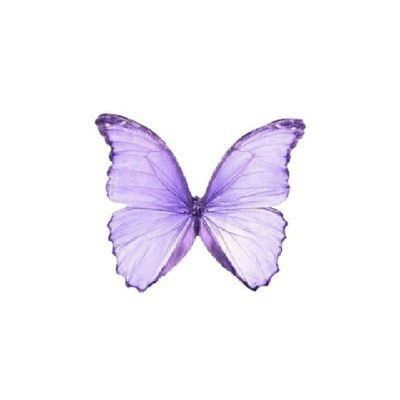 a purple butterfly flying through the air