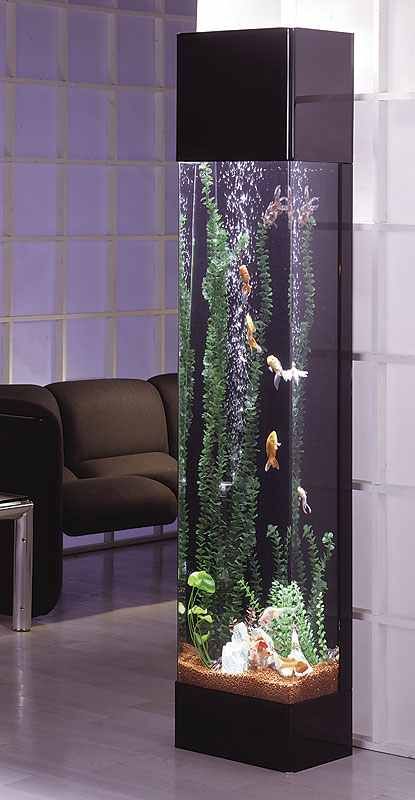 an aquarium with plants and fish in it