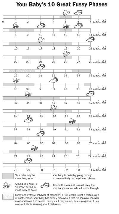 the baby's 10 great fussy phases chart is shown in black and white