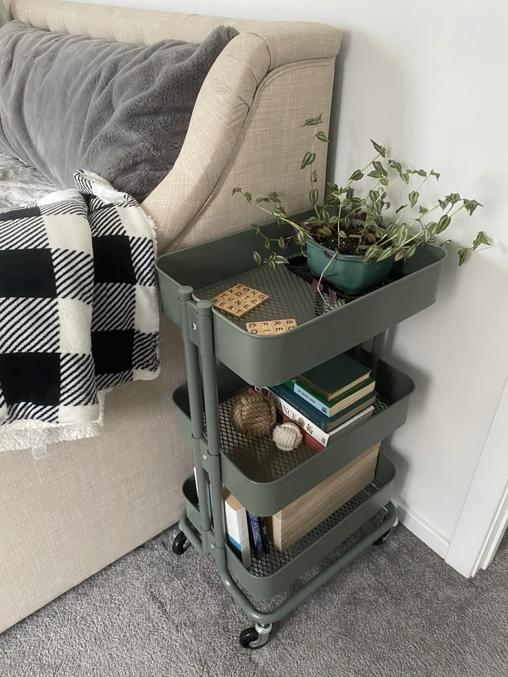 a living room with a couch and book shelf next to a plant on the floor