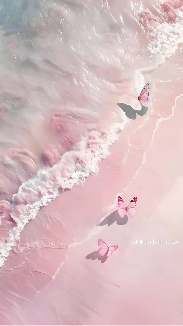 some pink butterflies are flying over the water at the edge of the beach and sand