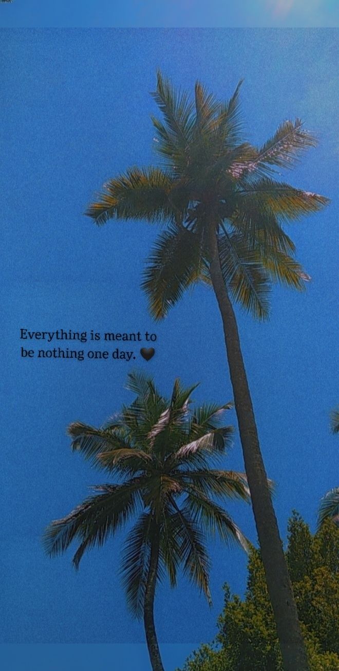 two palm trees against a blue sky with the words everything is meant to be nothing one day