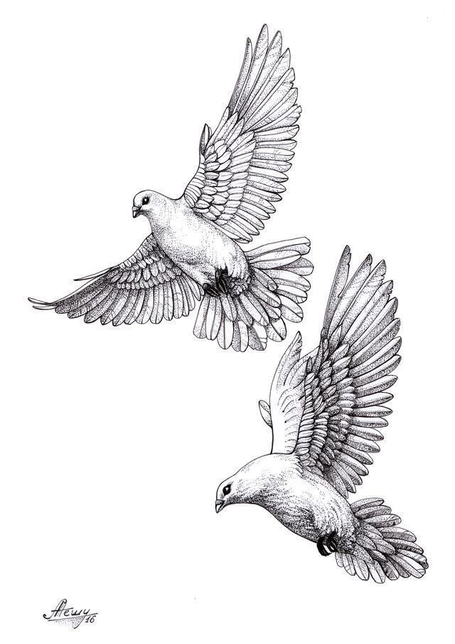 diseño palomas tattoo, tattoo design, tattoo, male tattoos, bird, wing, feather, animal, wildlife, pigeon, hawk, flight, eagle, falcon, nature White Dove Tattoos, Pigeon Tattoo, Dove Drawing, Bird Tattoo Men, Dove Tattoo Design, Vogel Tattoo, Dove Tattoos, Christ Tattoo, Dove Tattoo