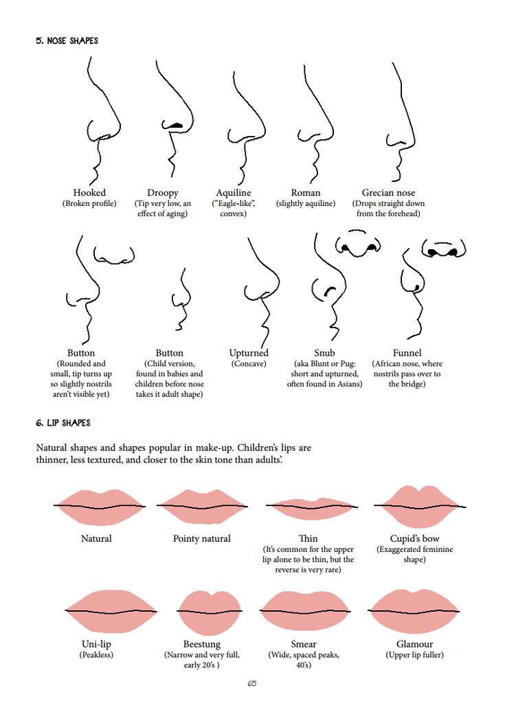 nose and lip shapes Skin Types Chart, Nose Types, Shape Chart, Face Reading, 얼�굴 그리기, Nose Shapes, Lip Shapes, Nose Job, Book Writing Tips