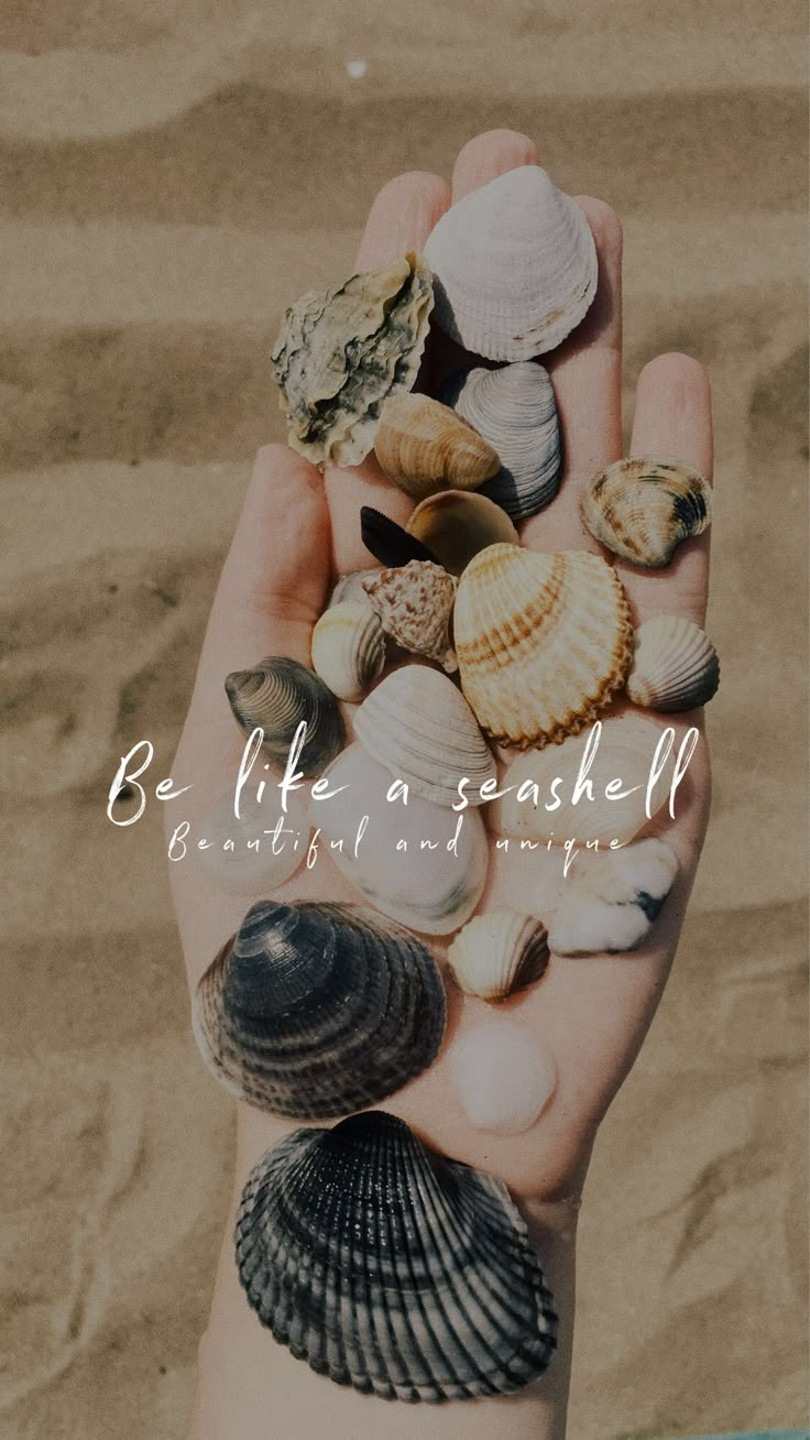 a person's hand holding several seashells on the beach