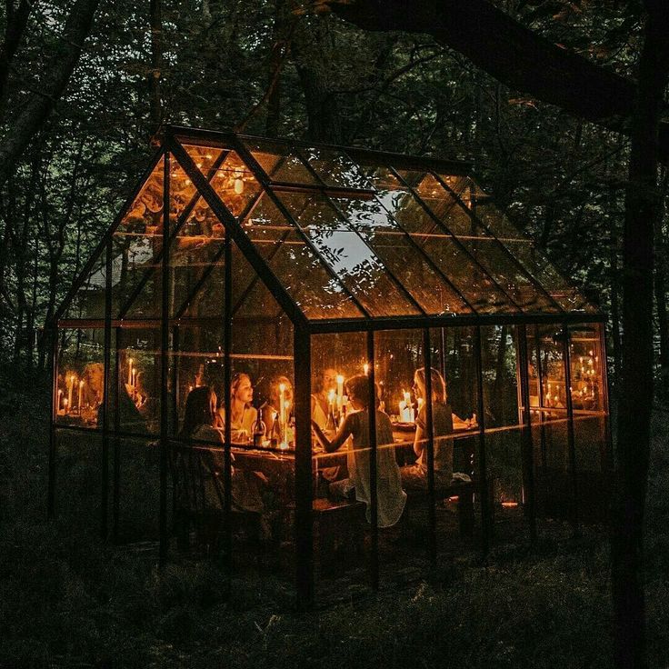 people are sitting in a glass house with lights on the outside and inside, surrounded by trees