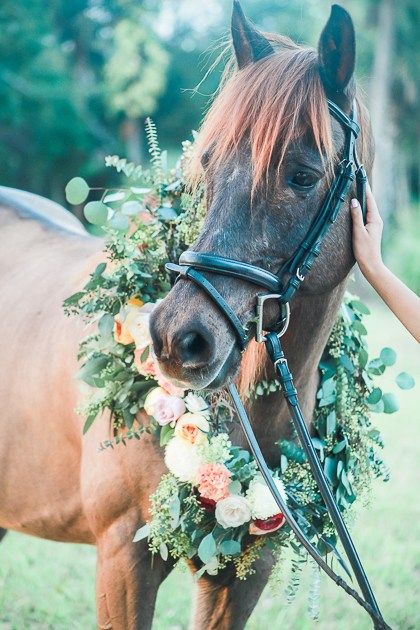 a woman is petting the head of a horse with flowers on it's bridle