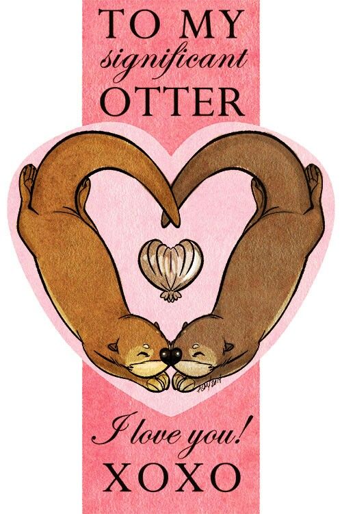 two otters making a heart shape with the words i love you xoxo