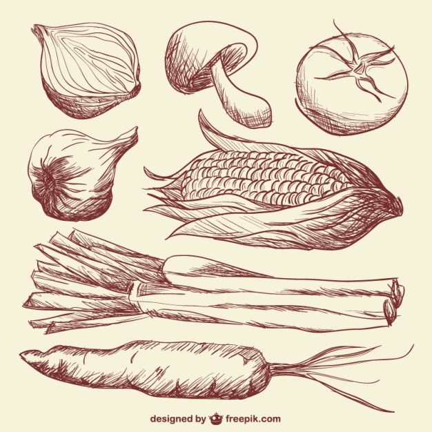 hand drawn vegetables set in vintage style