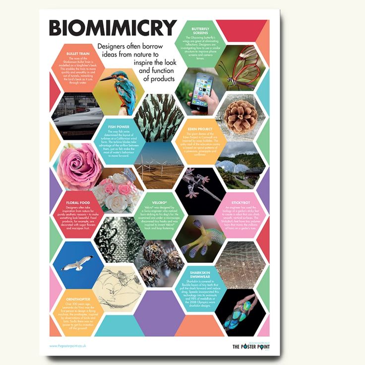 the front cover of biomircy magazine with images of plants and flowers in hexagonal shapes