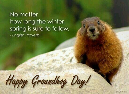 a groundhog sitting on top of a rock with the caption, no matter how long the winter, spring is sure to follow