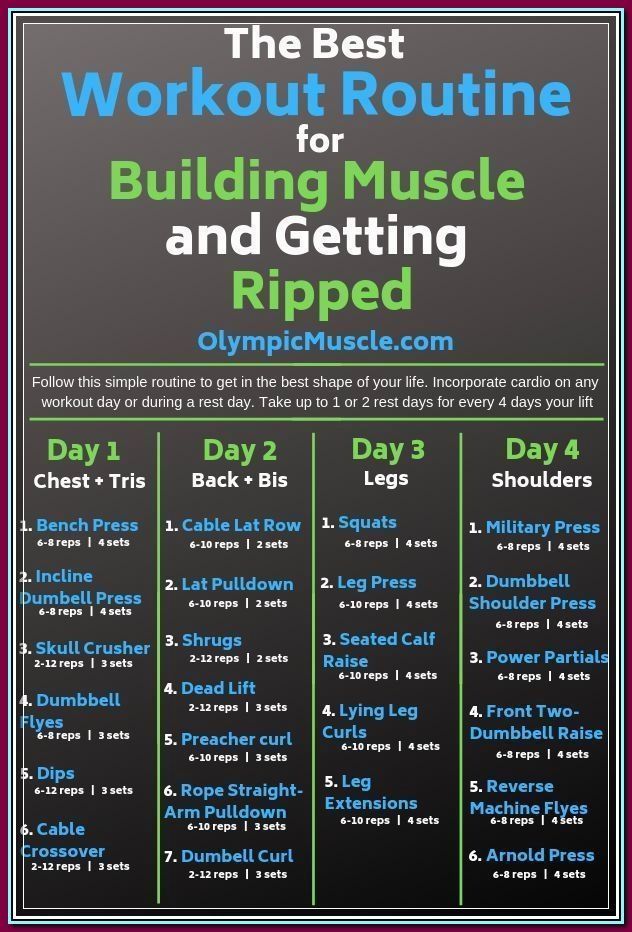 the best workout routine for building muscle and getting ripped