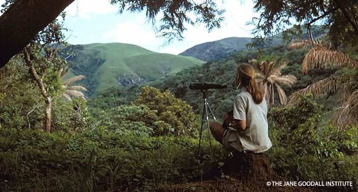 a woman sitting on top of a dirt hill next to a forest filled with trees