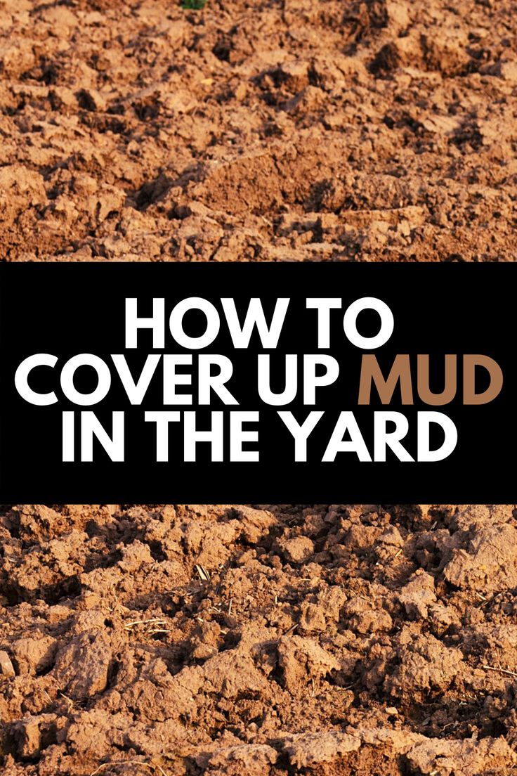 a black sign that says how to cover up mud in the yard on top of dirt