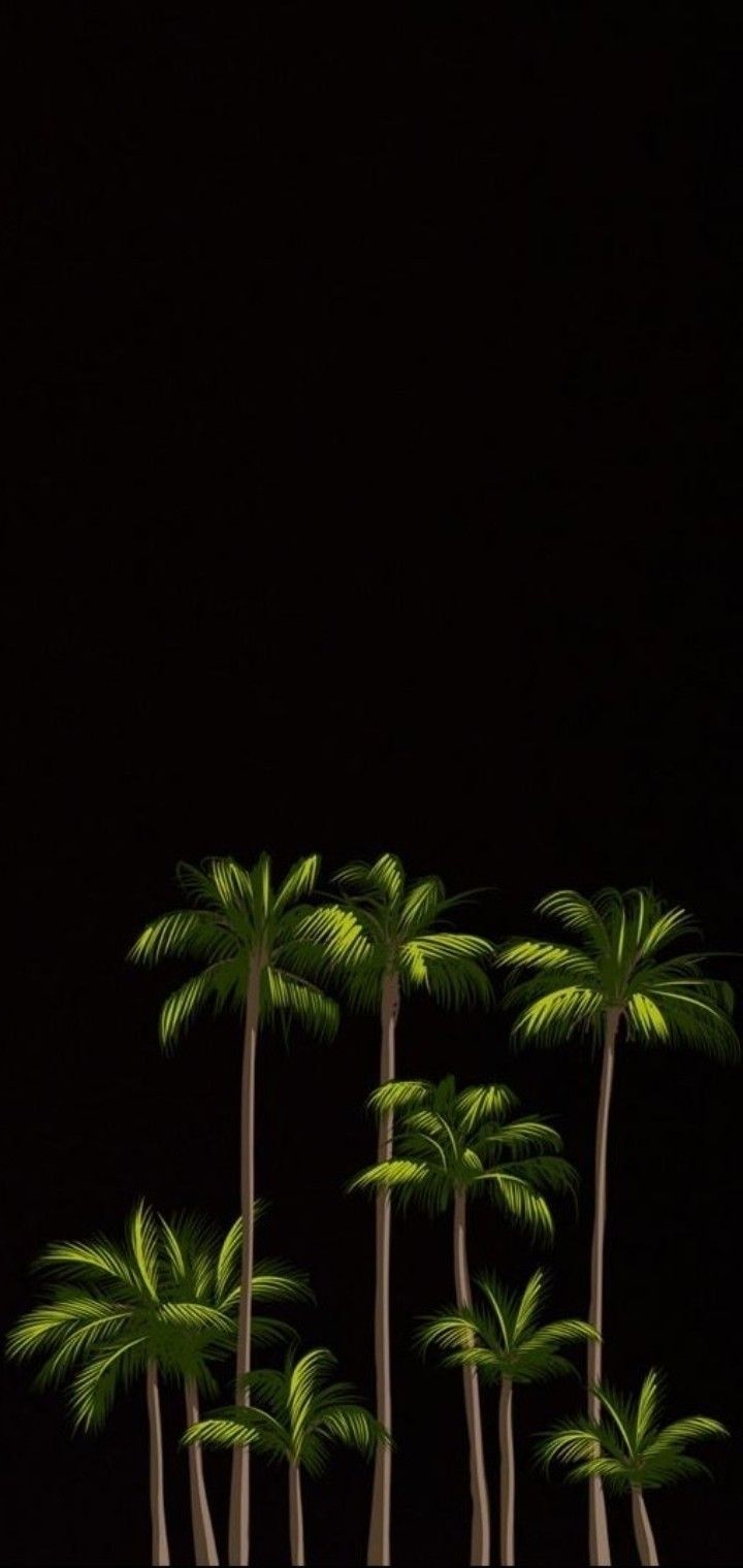 three palm trees are shown against a black background