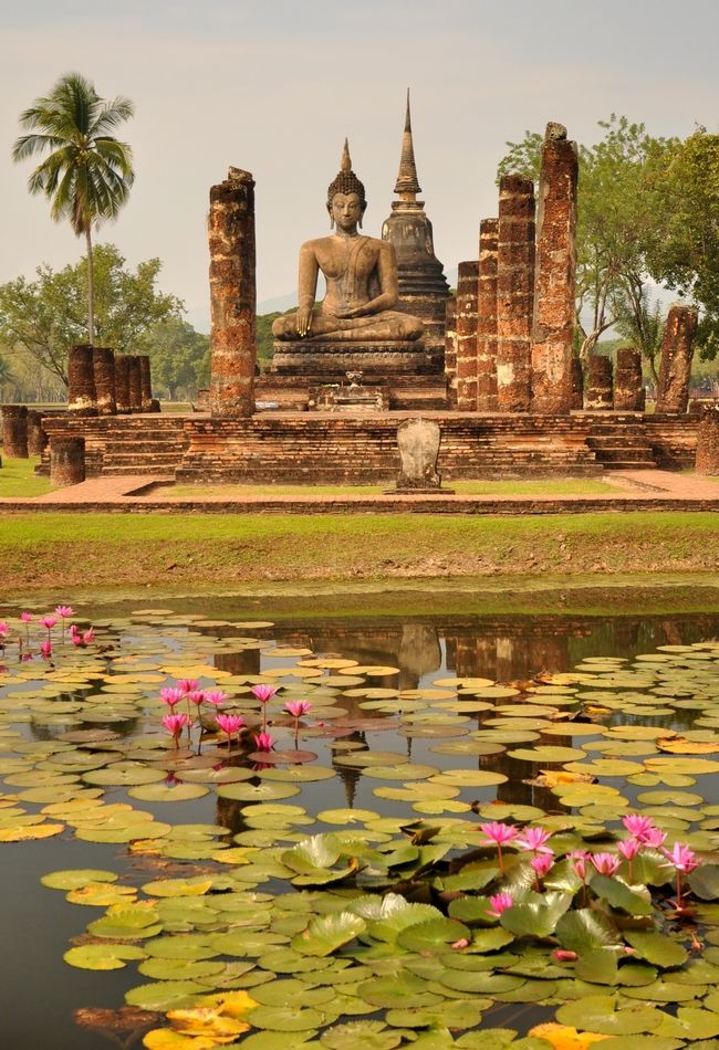 a buddha statue sitting on top of a lush green field next to water lilies