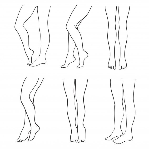 four different types of legs and feet