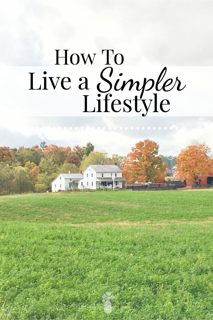 Do you wish that your life would just slow down a little bit? That you could capture the life that you've always dreamed about but instead seem to be caught up in the busyness of day-to-day living? Here are 14 actionable steps towards simpler living that you can start right now. #simple #simpleliving #simplelife #homesteading #simplerliving Simple Homestead, Simple Living Ideas, Live A Simple Life, Happy Homemaking, Simplified Living, Simple Living Lifestyle, Slow Lifestyle, Christian Homemaking, Living Simple