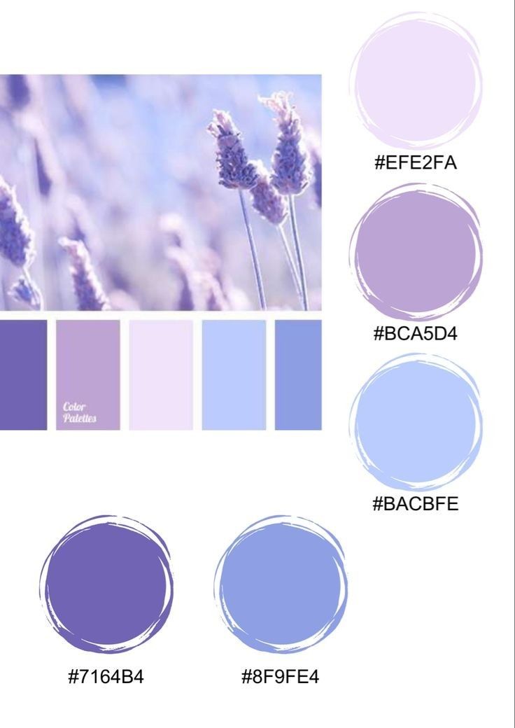 the color scheme for lavender is shown here