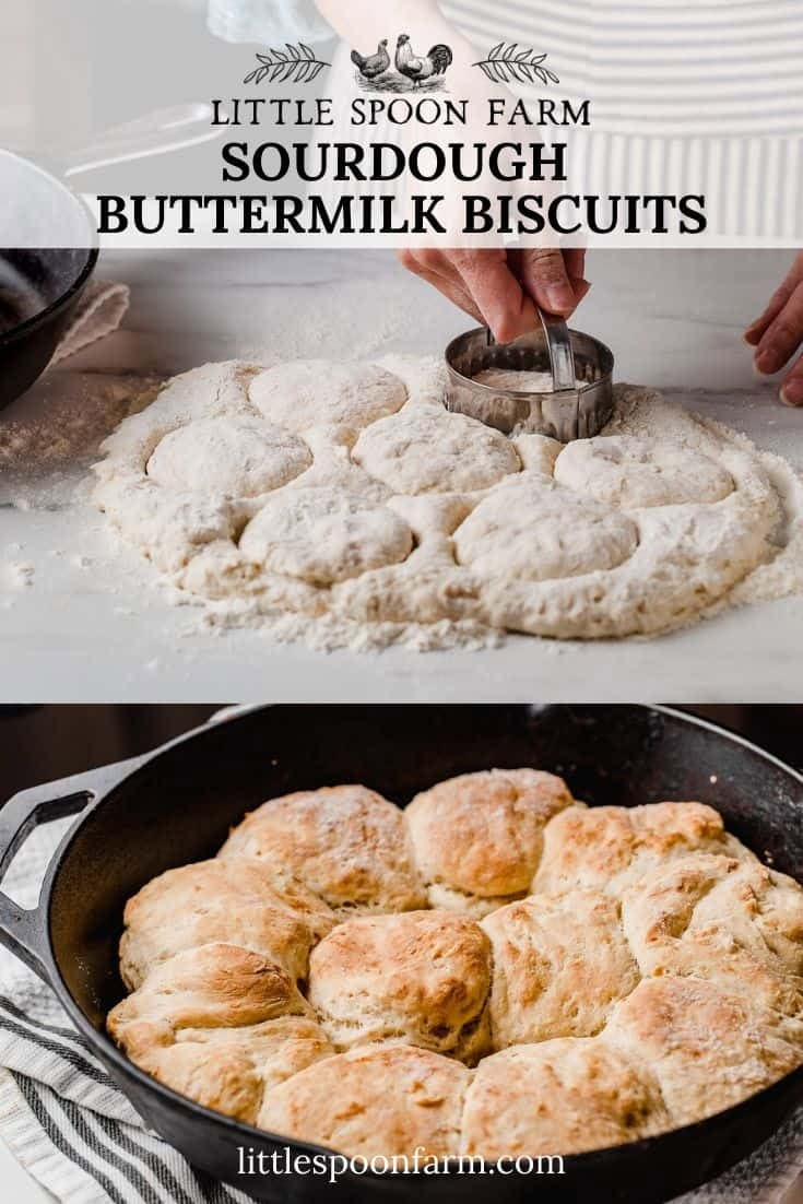 buttermilk biscuits in a cast iron skillet being cut and put into a pan