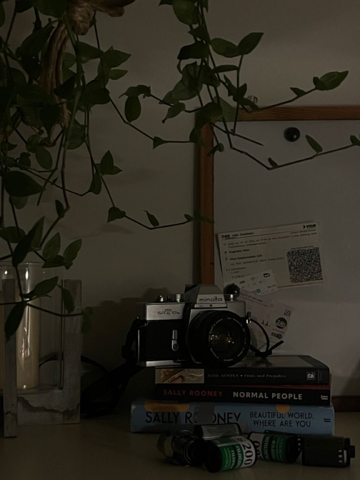 a stack of books sitting on top of a table next to a camera and plant