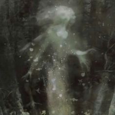 a blurry image of a person standing in the woods