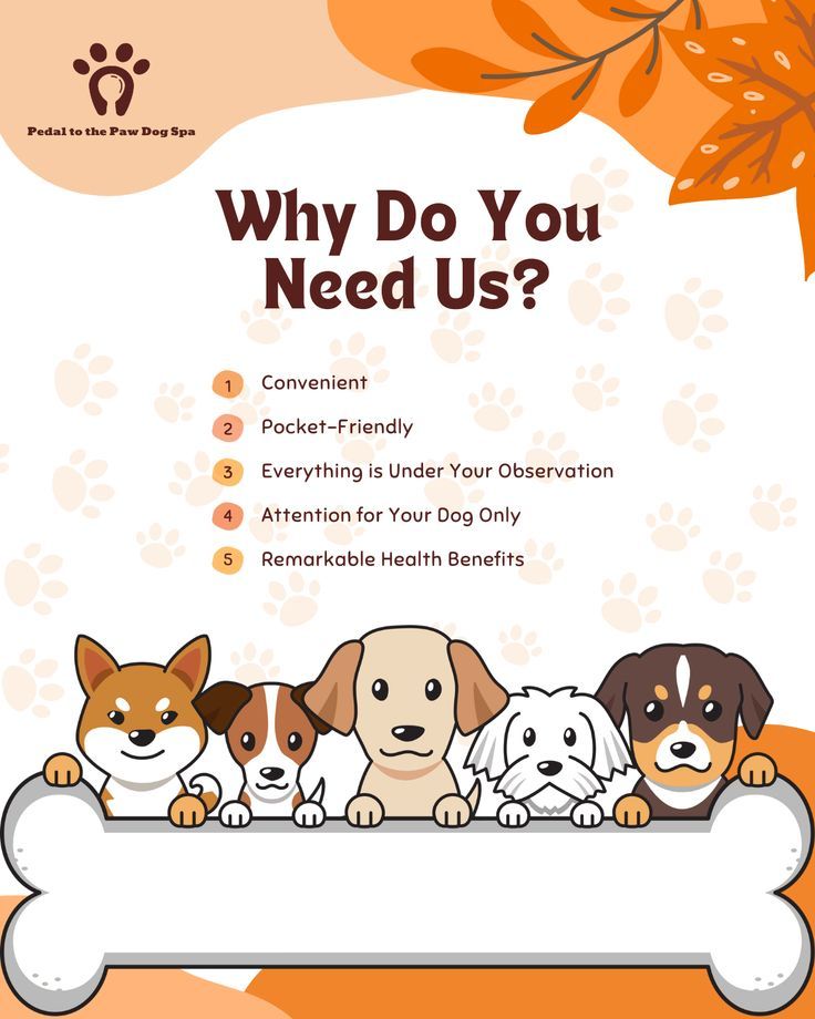 a poster with four dogs sitting on top of a bone and the words why do you need