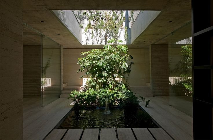 the inside of a house with water and plants