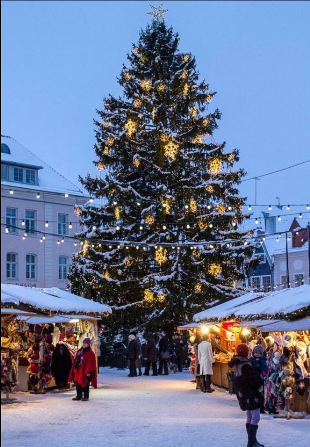 a large christmas tree is lit up in the middle of a snowy area with people walking around it