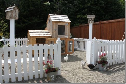 an outdoor chicken coop with chickens in the yard