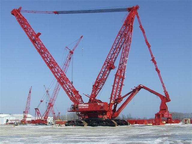 some red cranes are in the snow and blue sky