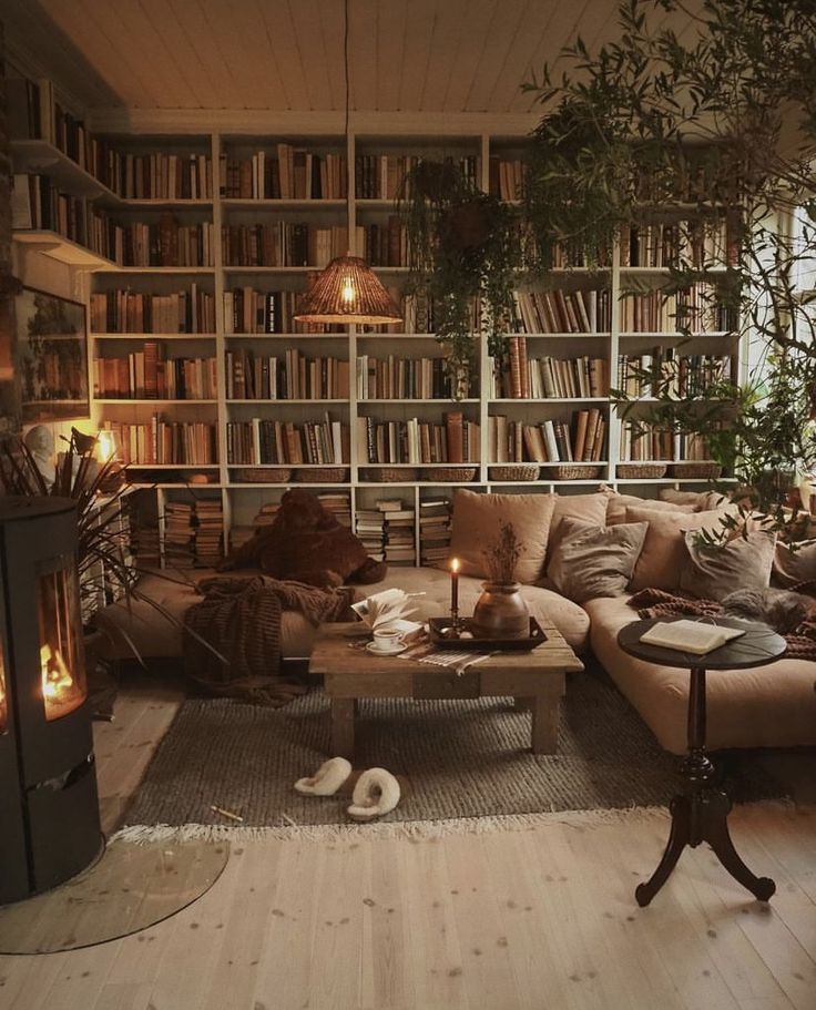 a living room filled with furniture and bookshelves next to a fire place in front of a window