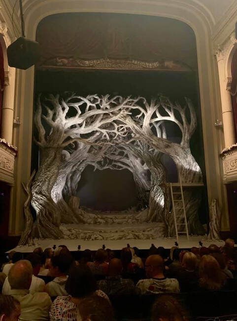 the stage is decorated with trees and branches