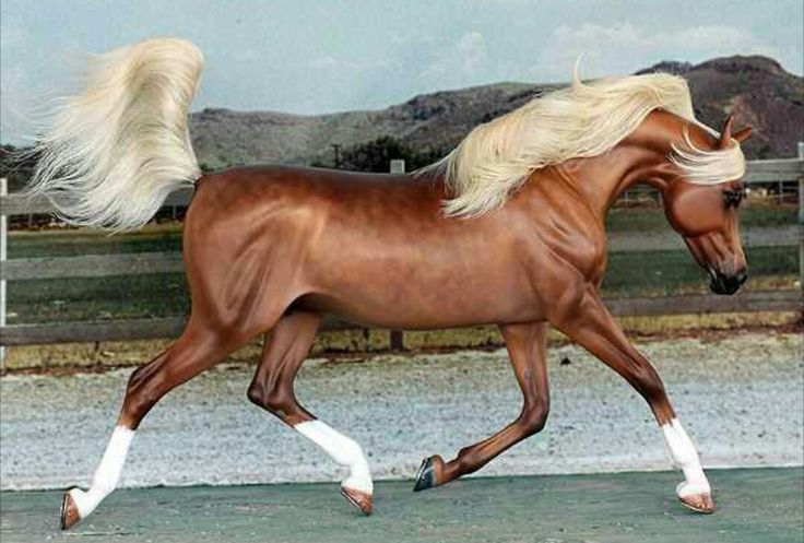 a brown horse with blonde hair is galloping