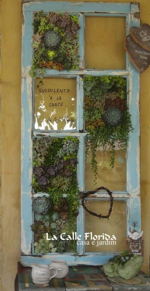 an old window is decorated with plants and writing on the glass to say, write a comment