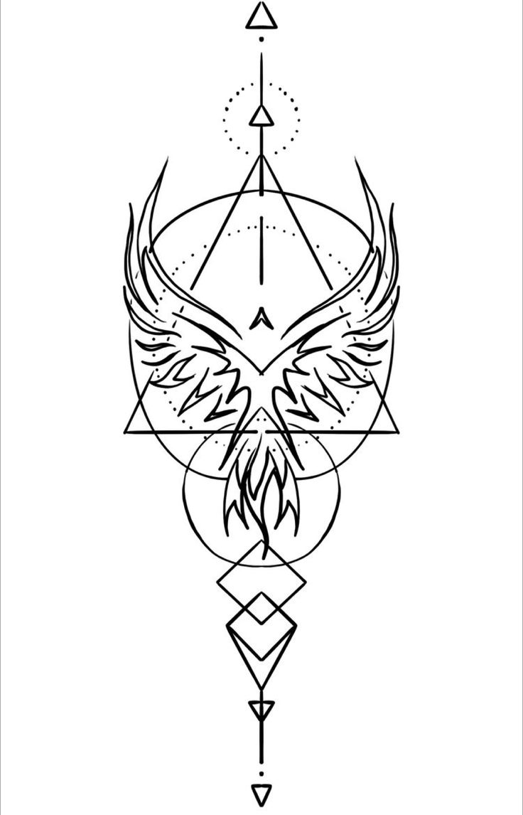 an image of a bird with wings on it's back and arrows in the middle