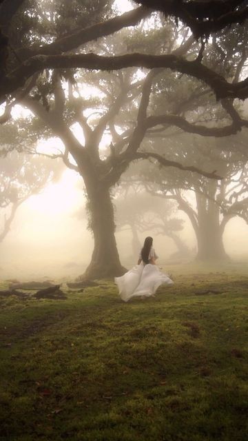 a woman in a white dress is walking through the foggy forest with her back to the camera