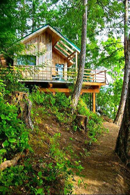 a small cabin nestled in the woods on top of a hill with stairs leading up to it