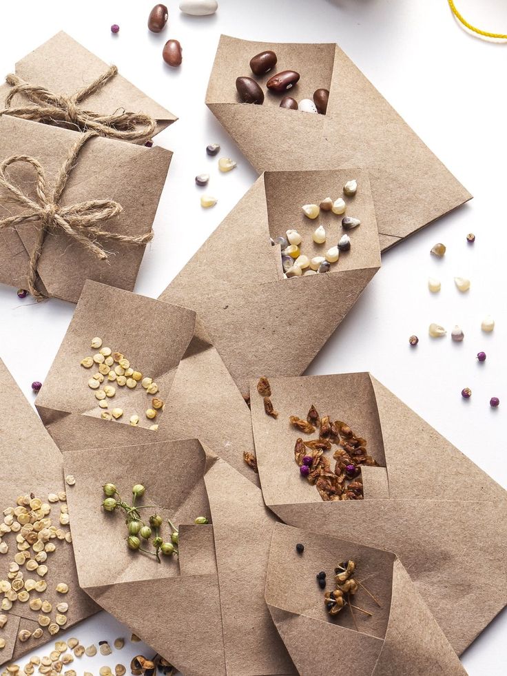 several pieces of brown paper tied with twine on top of each other next to nuts and seeds