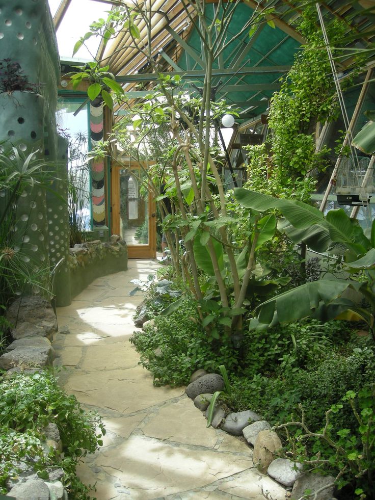 the walkway is lined with plants and rocks