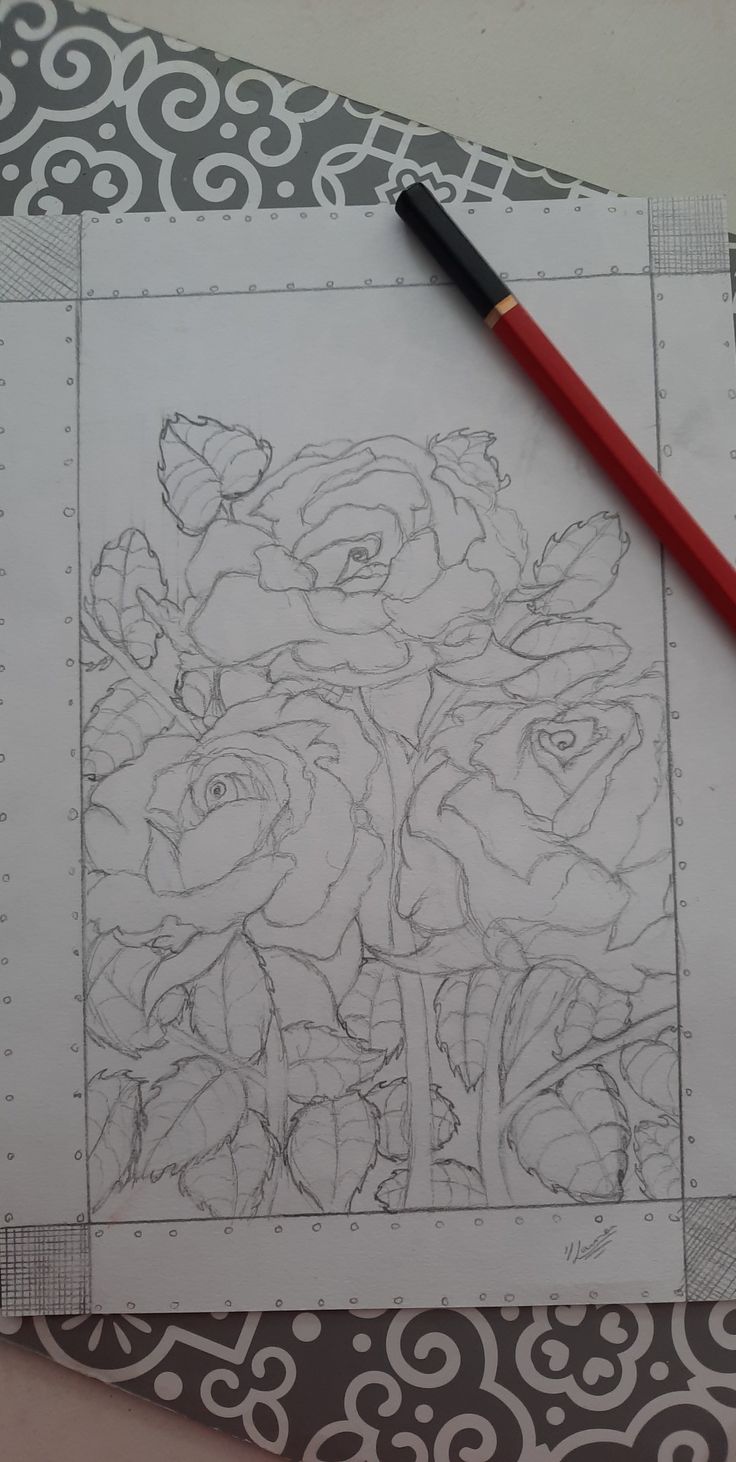 a drawing of roses on paper with a pencil