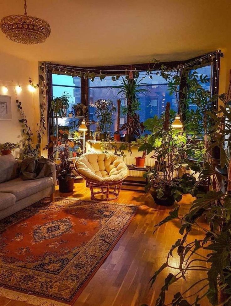 a living room filled with furniture and lots of plants on the windows sills