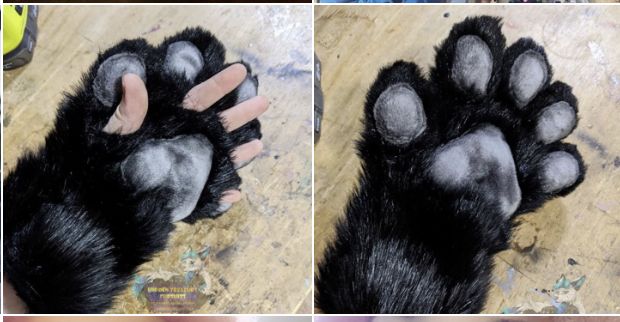 four different pictures of a cat's paw with multiple images of the same animal's claws