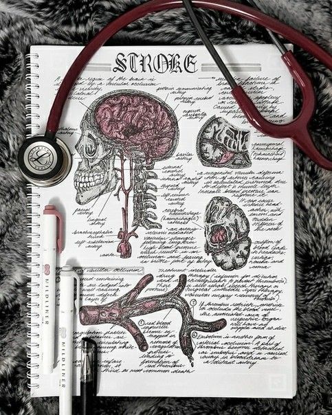 a notebook with medical drawings and a stethoscope