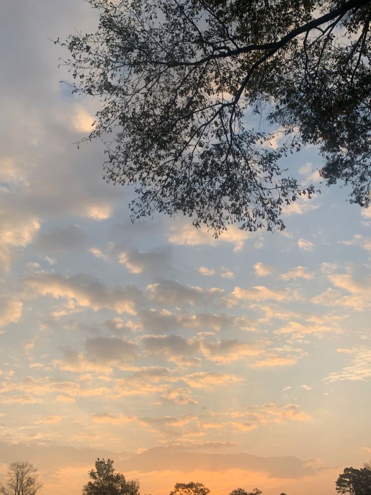 the sun is setting over some trees and grass in front of a blue sky with white clouds