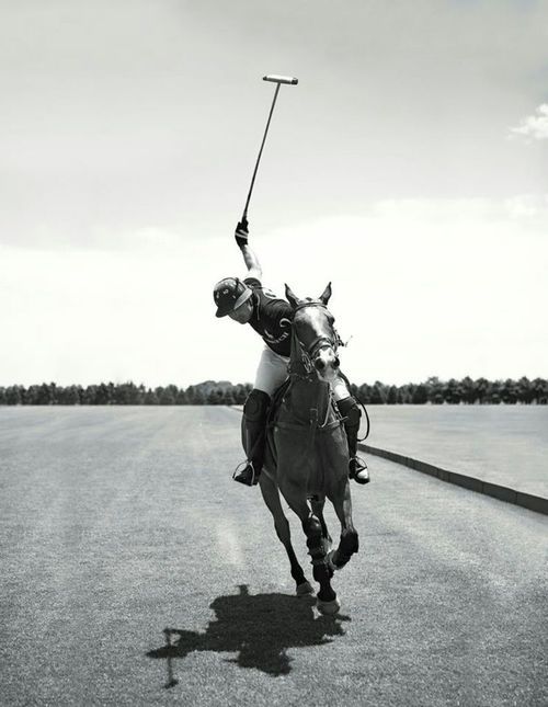 a man riding on the back of a horse while holding onto a pole with a flag