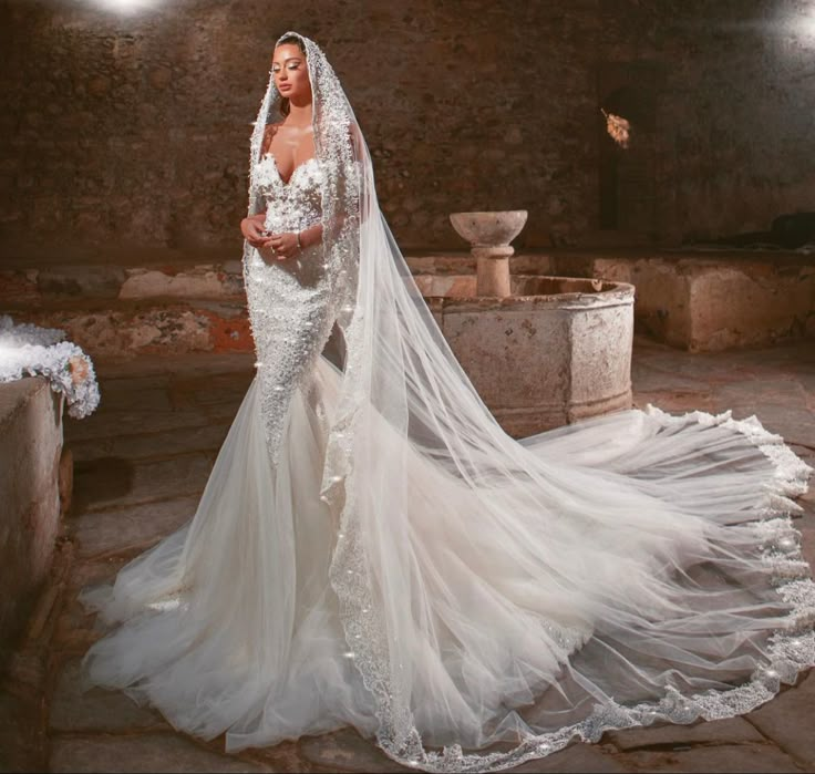 a woman wearing a wedding dress and veil